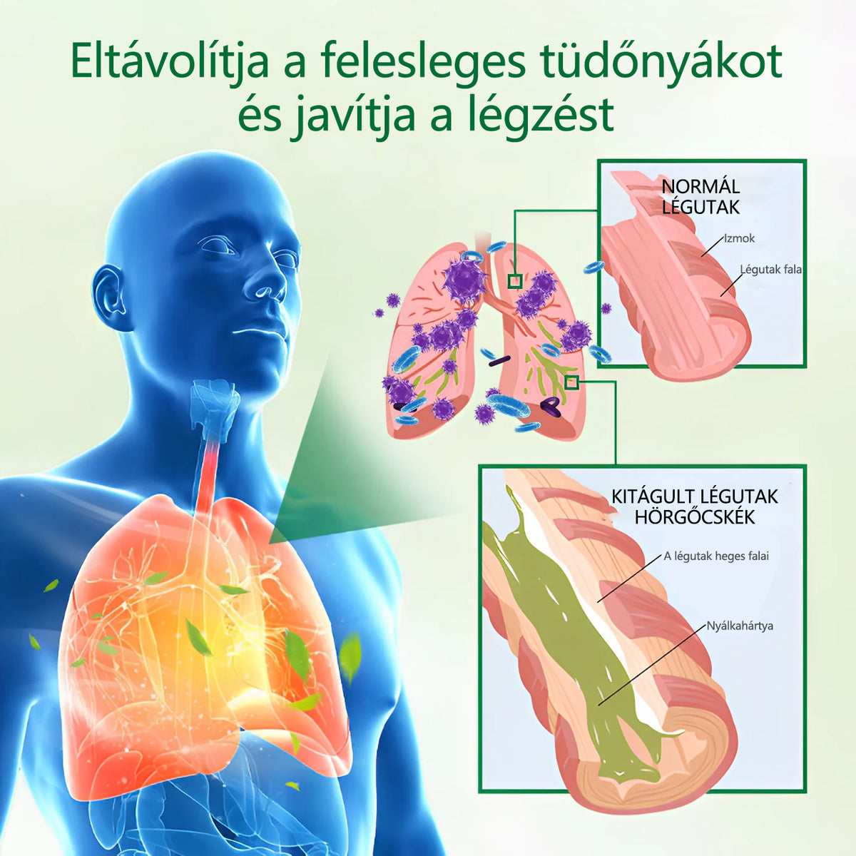 CleraNaure®Advanced Tüdőtisztító Spray -✅ Támogatja a tüdő, a hörgők és az arcüregek egészségét, segíti a légzőrendszer egészségét és megkönnyíti a légzést.