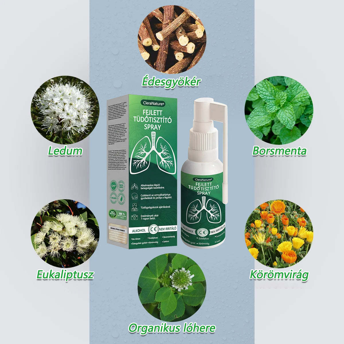 CleraNaure®Advanced Tüdőtisztító Spray -✅ Támogatja a tüdő, a hörgők és az arcüregek egészségét, segíti a légzőrendszer egészségét és megkönnyíti a légzést.