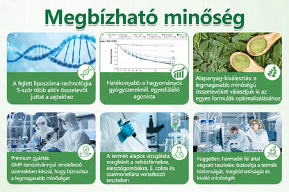 CleraNature® Moringa × Berberin × AMPK 10‑az‑1‑ben metabolikus támogató nanomikrotűs tapasz (Naponta csak egyszer használd, látható változások már 7 nap alatt!)